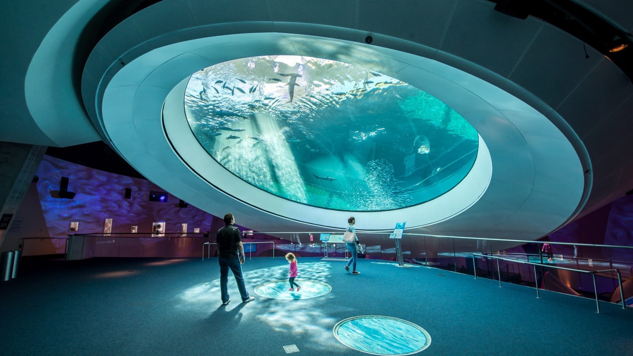 incredible museums south Florida