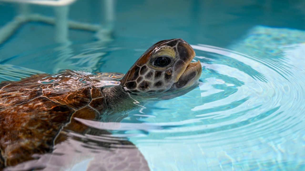 south florida museums